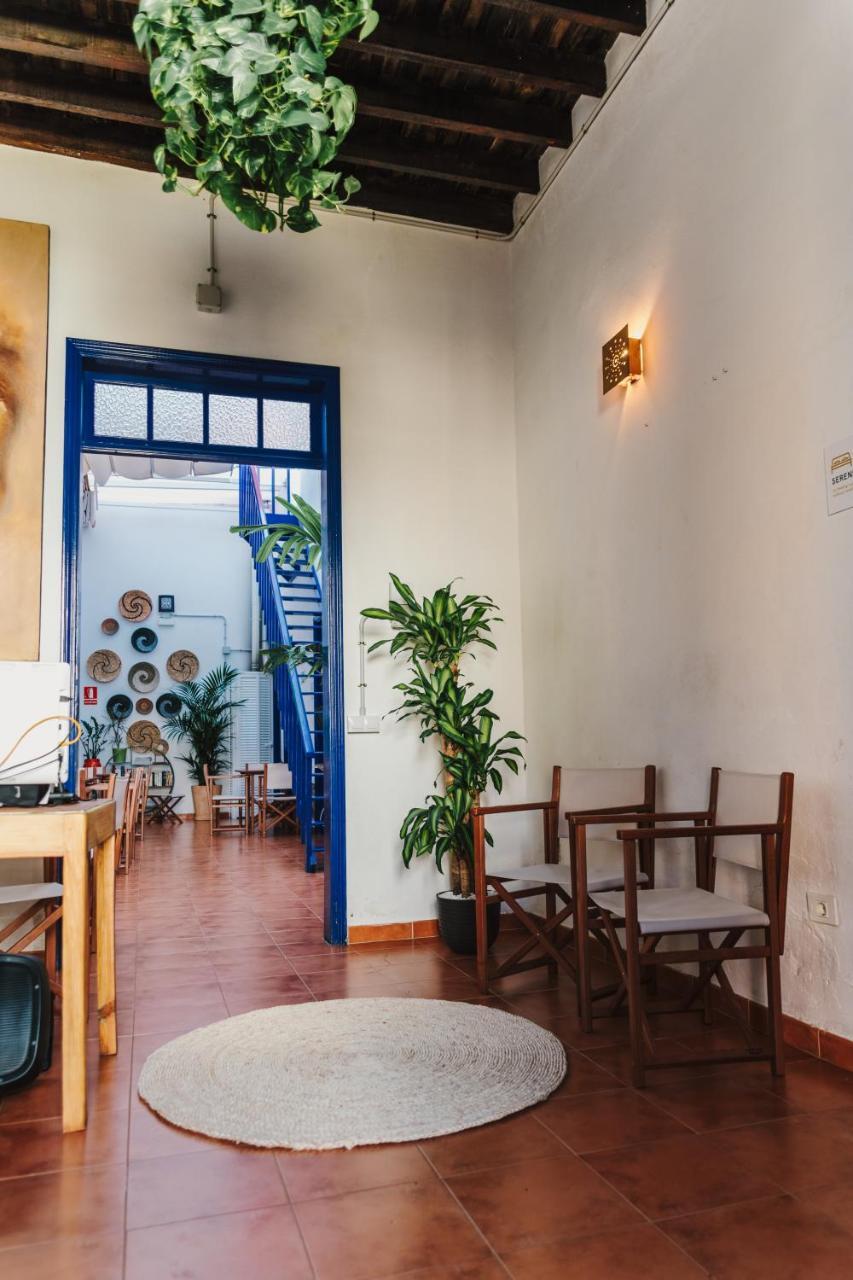 Ashavana Nest Hostel El Médano Dış mekan fotoğraf